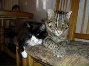 Фотография Калики Маргариты