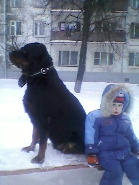 Наталья Калинина фотография #20