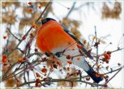 Фотография Стариковой Ольги