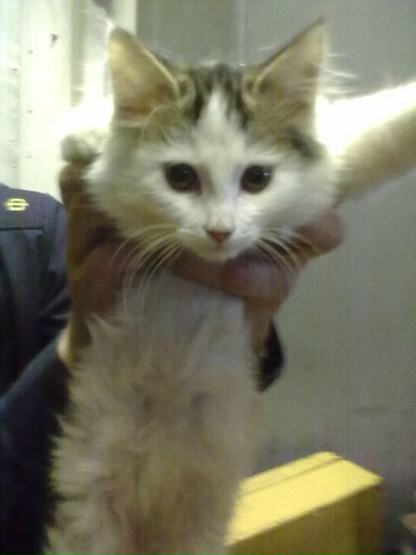 Игорь Лахтин фотография #40