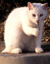 Іван Феденко фотография #27 (источник - https://vk.com/id7854794)