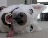 Евгения Позднякова фотография #38 (источник - https://vk.com/id340318)