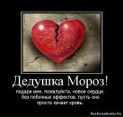 Фотография Лойко Светланы
