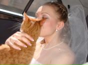 Фотография Филипповой Марии