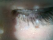 Фотография Чезгановой Александры