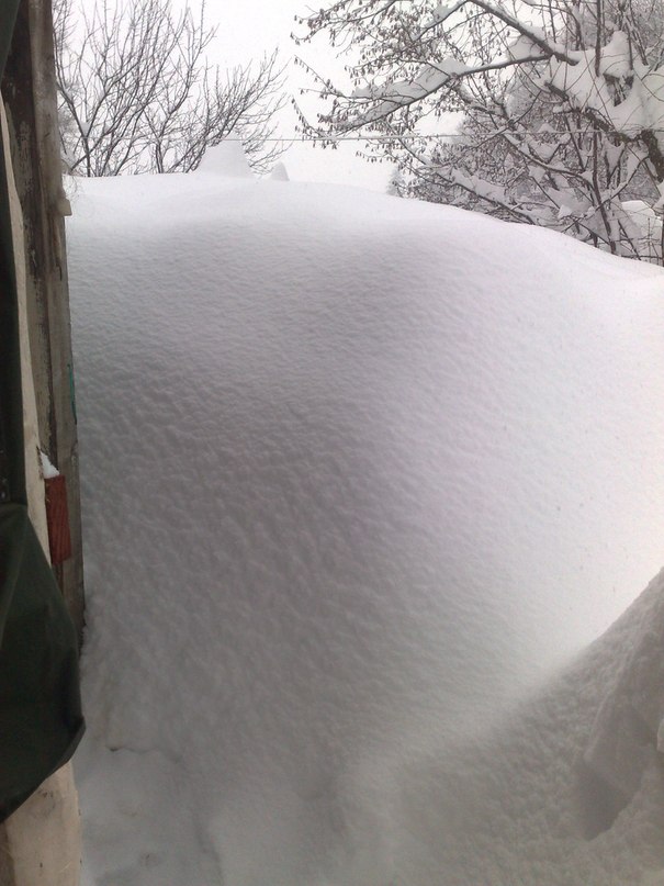 Zeljko Delevic фотография #30