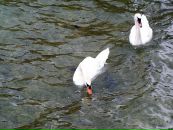 Андрій Зубрицький фотография #42 (источник - https://vk.com/id23655902)