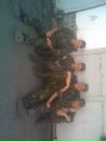 Александр Павлушко фотография #32 (источник - https://vk.com/id59940850)