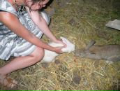 Фотография Ларченко-Тиллабаевой Гули