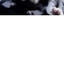 Євген Коломієць фотография #39 (источник - https://vk.com/id131939795)