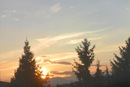 Ніка Кухта фотография #8 (источник - https://vk.com/id152101517)