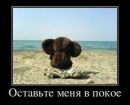 Світланка Гарагода фотография #39 (источник - https://vk.com/id170395542)