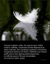 Олена Кузіна фотография #18 (источник - https://vk.com/id68804293)