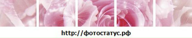 Діана Луцик фотография #35 (источник - https://vk.com/id142734018)