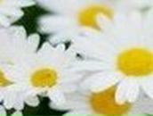 Наталія Новікова фотография #11 (источник - https://vk.com/id11100706)