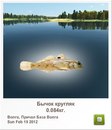 Андрій Стеців фотография #42 (источник - https://vk.com/id164789428)