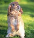 Фотография Ивановой Анастасии