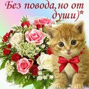 Дана Петріна фотография #10 (источник - https://vk.com/id167201289)