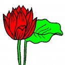 Діана Скоропад фотография #48 (источник - https://vk.com/id68983858)