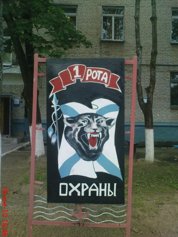 Александр Плотников фотография #21