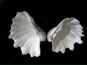 Фотография Подгайного Сергея