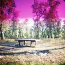 Уладзімір Мацюшэнко фотография #24 (источник - https://vk.com/id10360954)