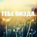 Олег Погребняк фотография #23 (источник - https://vk.com/id44494758)