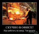 Фотография Колесниченко Бориса