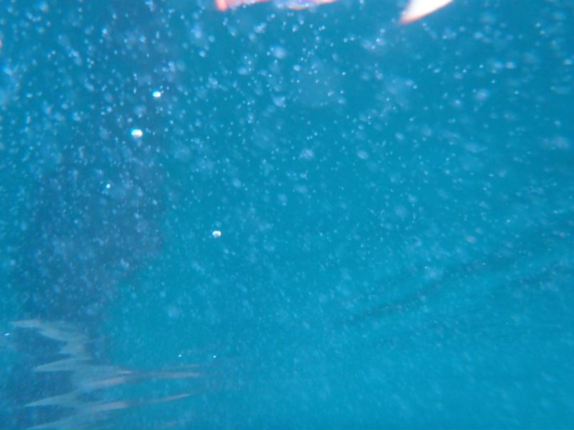 Дмитрий Шаленко фотография #35