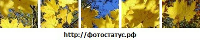 Міша Савляк фотография #14 (источник - https://vk.com/id75674043)