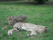 Фотография Карповой Александры