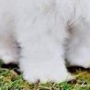 Юлічка Love фотография #47 (источник - https://vk.com/id143113296)