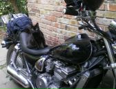 Фотография Богачевой Екатерины