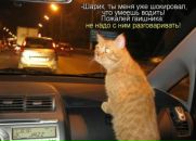 Ігор Бабій фотография #4 (источник - https://vk.com/id144911288)