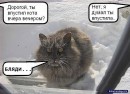 Фотография Синцовой Елены