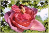 Фотография Радченко Надежды