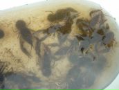 Дмитрий Торкель фотография #7 (источник - https://vk.com/id781817)