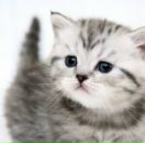 Діана Дячук фотография #17 (источник - https://vk.com/id162714220)