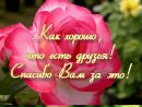 Фотография Емельяновой Аллы