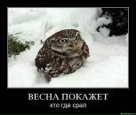 Олексій Фарина фотография #47 (источник - https://vk.com/id57227092)