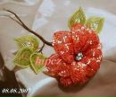 Муся Сікора фотография #4 (источник - https://vk.com/id133047894)