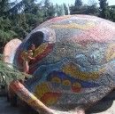 Іра Олійник фотография #40 (источник - https://vk.com/id89474956)