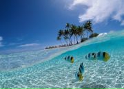 Фотография Глебова Игоря