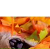 Ірина Шавель фотография #8 (источник - https://vk.com/id135135626)
