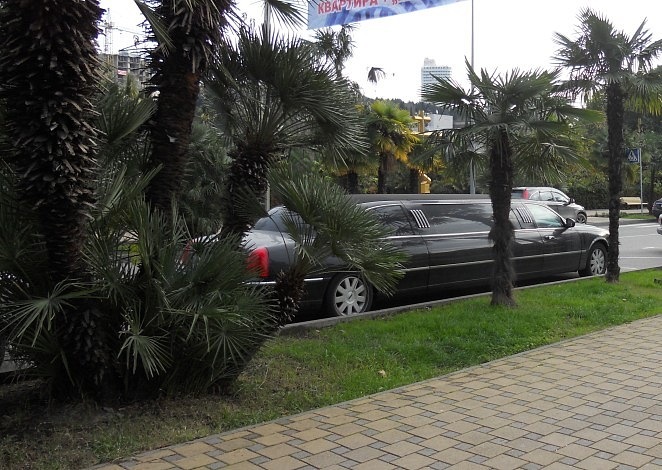 Made Rusha фотография #28