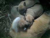 Катя Худзій фотография #34 (источник - https://vk.com/id49638522)