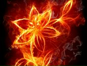 Азиза Арипова фотография #18 (источник - https://vk.com/id8223176)