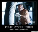 Фотография Ян Шевцов