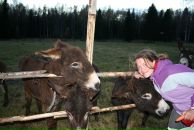 Фотография Булмасовой Оли