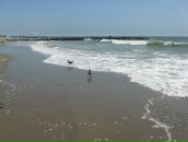 Віталіна Швець фотография #24 (источник - https://vk.com/id15914366)